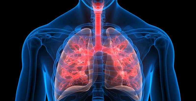 Tuberculosis disease and treatment